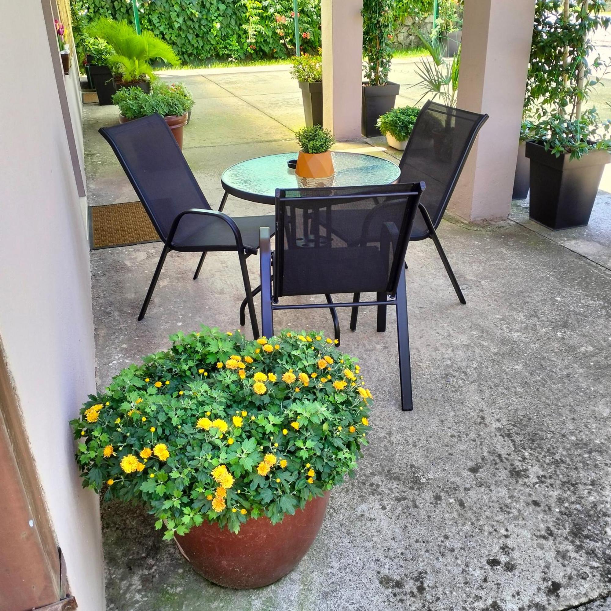 Olive Apartment Podgorica Exterior foto